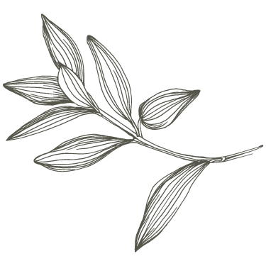 BGLH Leaf Page Decor Left