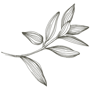 BGLH Leaf Page Decor Right